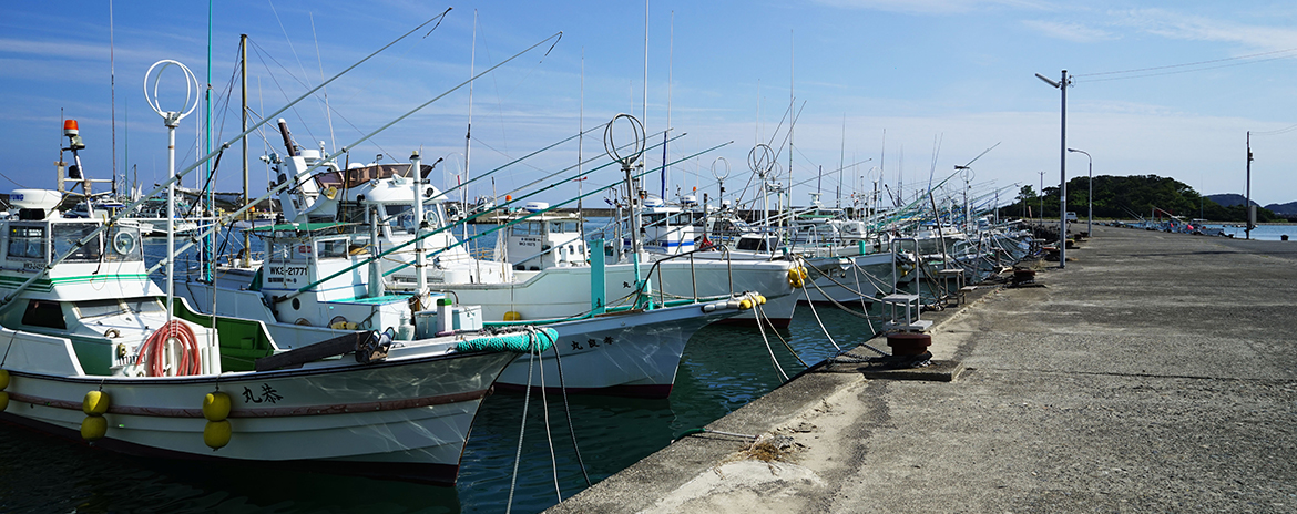 和歌山県漁業協同組合連合会 漁協の指導 購買 販売を実施 Jf和歌山漁連
